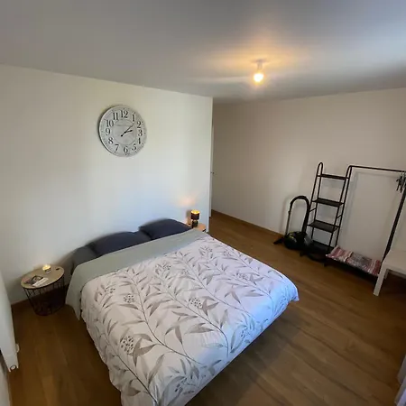 Trip Apartman Strasbourg